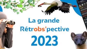 Retour sur un an d'observations nature en Bourgogne-Franche-Comté !